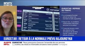 Panne de l'Eurostar: "L'incident n'est pas lié à la compagnie ferroviaire mais bien à la route ferroviaire", explique Maria Lee, experte en transports et rail pour Sia partners 