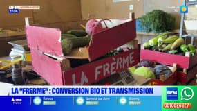 Seine-Maritime: ces deux frères agriculteurs racontent leur passage au bio