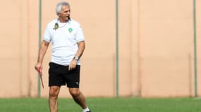 Vahid Halilhodzic