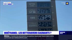 Nord-Pas-de-Calais: la hausse de la demande du bioéthanol est-elle une bonne nouvelle pour les betteraviers?