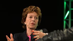 La néerlandaise Neelie Kroes a été ministre et député aux Pays-Bas puis responsable de la concurrence dans la  première commission Barroso, puis commissaire européenne chargée de la société numérique de 2010 à 2014.