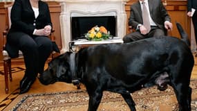 Angela Merkel et Vladimir Poutine lors d'une rencontre à Sotchi, en Russie, en janvier 2007.