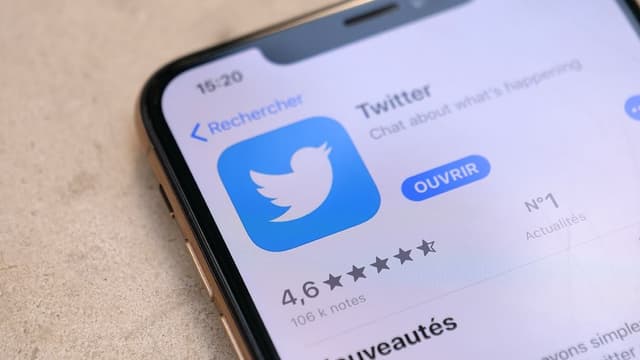 Twitter compte près de 10 millions de membres en France.