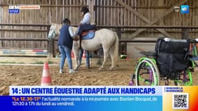 Calvados: un centre équestre adapté aux handicaps