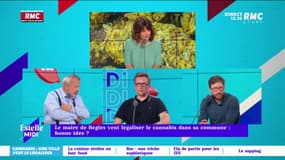 Le maire de Bégles veut légaliser le cannabis dans sa commune : bonne idée ? 