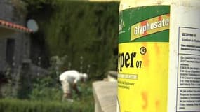 Glyphosate: un herbicide dans le viseur d’une association de consommateurs