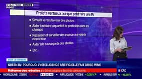 Sur le green : Green IA, pourquoi l'intelligence artificielle fait grise mine ? - 16/03