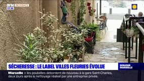 Sécheresse: comment La Ciotat s'adapte aux nouveaux critères du label "villes et villages fleuris"