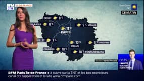 Météo Ile-de-France: un temps très ensoleillé ce vendredi