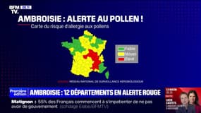 Allergie au pollen d'ambroisie: 12 départements en alerte rouge 