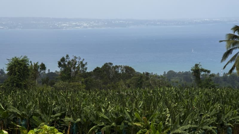 La Guadeloupe (Photo d'illustration)