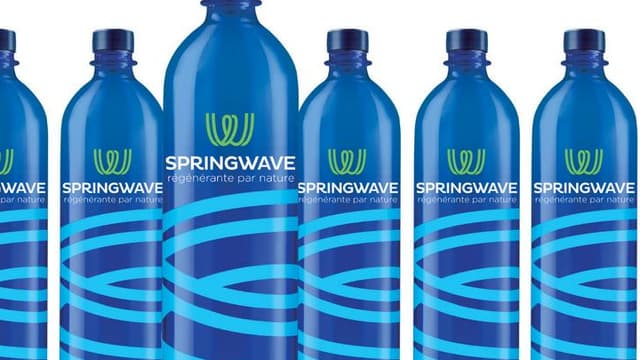 La start-up Springwave va commercialiser l'an prochain la première boisson régénérante et anti-oxydante à base de micro-algues.