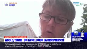 Planète locale DICI : Agglo/ Digne : Un appel pour la biodiversité