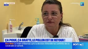 Alsace: les allergiques au pollen déjà confrontés à la floraison des noisetiers