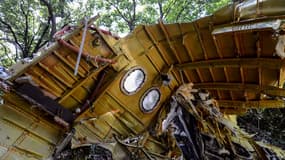 Les enquêteurs internationaux ont repris les recherches dimanche sur le site du crash MH17, en Ukraine.