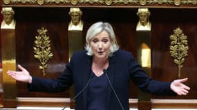 Marine Le Pen à l'Assemblée nationale, à Paris, le 4 décembre 2024.
