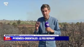Story 4 : Les Pyrénées-Orientales brûlent - 29/06 