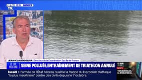 Pollution de la Seine: quels sont les critères pour pouvoir s'y baigner ? 