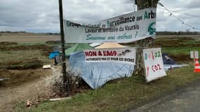 Des militants anti-A69 ont installé un campement pour surveiller les arbres