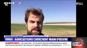 Virus: agriculteurs cherchent main d'oeuvre - 25/03