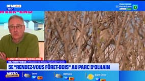 Hauts-de-France: une 5e édition des "Rendez-vous Forêt-Bois" au parc d'Olhain