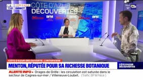 Côte d'Azur Découvertes du jeudi 18 avril - Menton : réputée pour sa richesse botanique