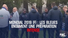 Mondial 2019 (F) : Les Bleues entament une préparation intense à Clairefontaine