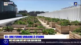 Seine-Saint-Denis : des Stanois mis à contribution pour recréer des espaces verts