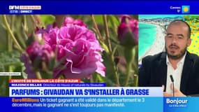 Grasse: le groupe suisse va s'implanter dans la capitale du parfum