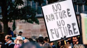 Manifestation en faveur de la lutte pour l'environnement