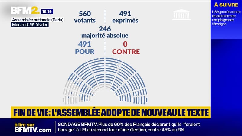Fin de vie: l'Assemblée adopte de nouveau le texte créant un droit à l'aide à mourir