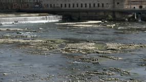 Le lit de la Garonne frappé par la sécheresse, le 25 août 2022 à Toulouse