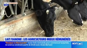 Usine Danone en Seine-Maritime: les agriculteurs mieux rémunérés