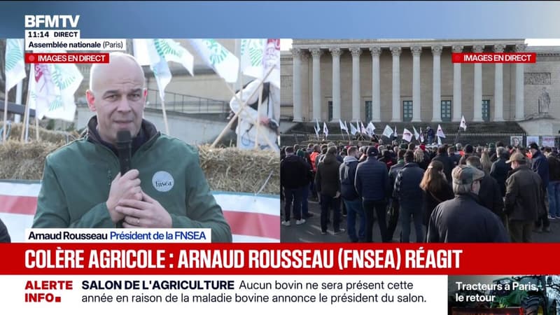 Mobilisation agricole: "Le combat n'est pas fini", déclare Arnaud Rousseau, président de la FNSEA