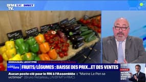 Fruits/Légumes : baisse des prix... et des ventes - 23/07