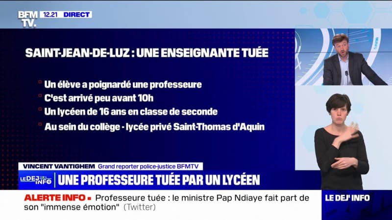 Professeure mortellement poignardée à Saint-Jean-de-Luz: le lycéen aurait indiqué "ce n'est pas moi, c'est une voix qui m'a demandé de faire ça"