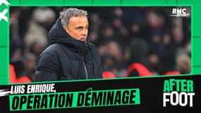 PSG : Luis Enrique, opération déminage