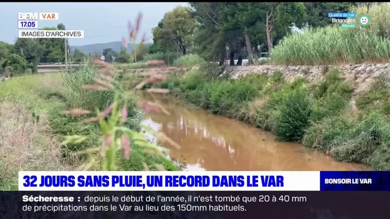 Var: le département déjà en proie à la sécheresse