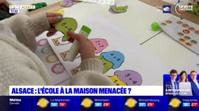 Strasbourg: des parents manifestent pour défendre l’école à la maison