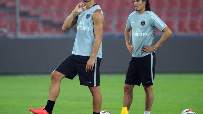 Zlatan Ibrahimovic et Edinson Cavani