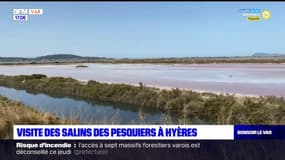 Hyères: à la découverte des salins des Pesquiers