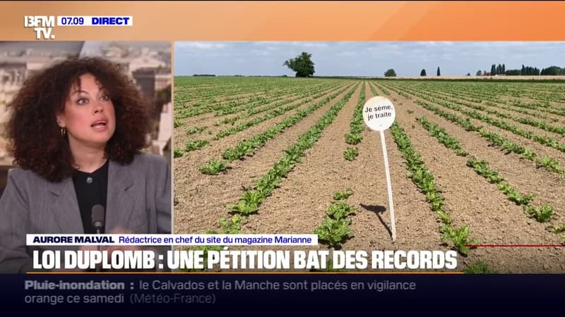Une pétition citoyenne contre la loi Duplomb, qui réintroduit des pesticides, recueille plus de 300.000 signatures