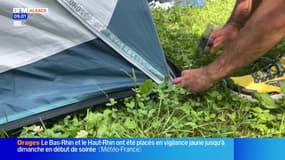 Bas-Rhin: les campings font le plein cet été