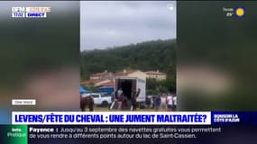 Jument maltraitée à Levens: deux associations portent plainte contre la propriétaire 