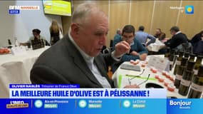 Bouches-du-Rhône: la meilleure huile d'olive est fabriquée à Pélissanne
