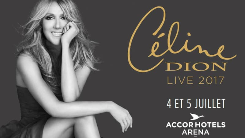 Céline Dion partira en tournée dans toute la France l'été prochain