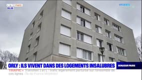 Orly: ils vivent dans des logements insalubres