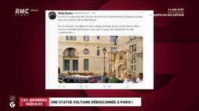 Le monde de Macron: une statue de Voltaire déboulonnée à Paris ? - 18/08