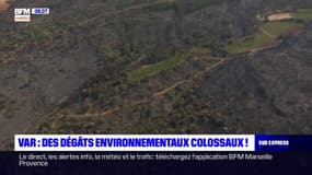 Incendie dans le Var: des dégâts considérables pour l'environnement