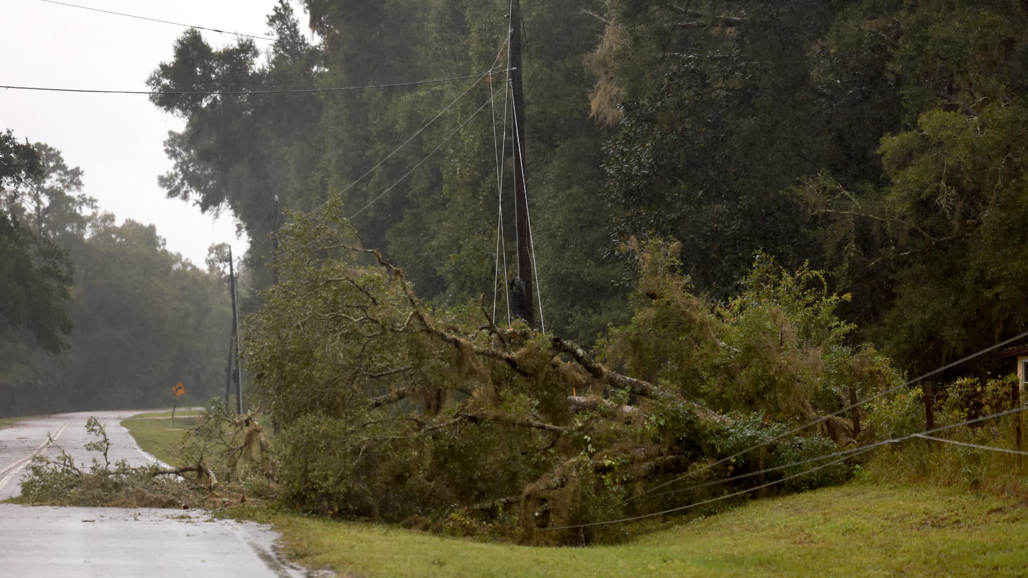 Un arbre au sol à Chiefland, en Floride, le lundi 5 août 2024. Un arbre au sol à Chiefland, en Floride, le lundi 5 août 2024.